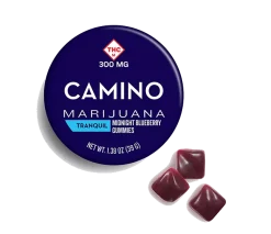 Camino Midnight Blueberry High Dose Gummies